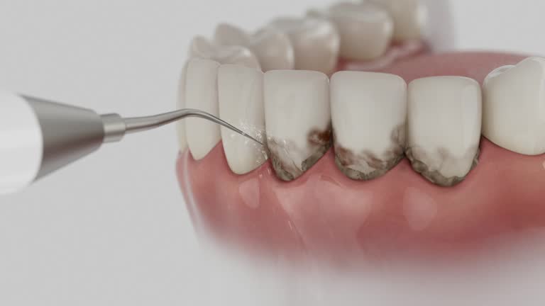 Reliable Dental contractor in Gladstone, MI by Dentist Open Now